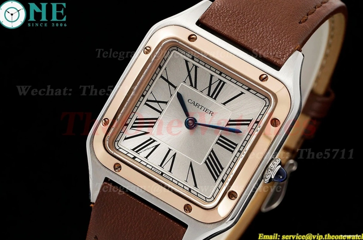 LE Santos Silver Quartz Brown Dial Dumont AF RG 0502